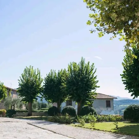 Sogno - Cenami - Grande Piscina Con Vista * Massarosa
